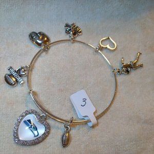 Seattle Seahawks NFL Custom Expandable Charm Bracelet
